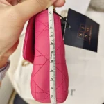 Dior, Miss Dior Promenade Pouch, , Pink, Very Good - Image 17