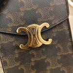 Celine, Vertical Mobile Phone Pouch, , Brown, Very Very  Good - 图片 6