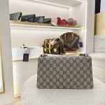 Gucci, Dionysus, Small, Beige, Very Good - Image 3