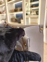 Louis Vuitton, OnTheGo MM, MM, Beige, Very Very  Good - Image 15