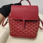 Goyard, Alpin Mini Backpack , Mini, Red, Very Very  Good - Image 2