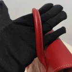 Goyard, Alpin Mini Backpack , Mini, Red, Very Very  Good - Image 20