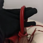 Goyard, Alpin Mini Backpack , Mini, Red, Very Very  Good - Image 21