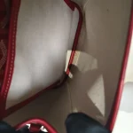 Goyard, Alpin Mini Backpack , Mini, Red, Very Very  Good - Image 25