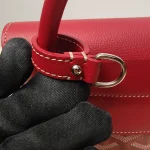 Goyard, Alpin Mini Backpack , Mini, Red, Very Very  Good - Image 38