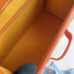 Goyard, Saigon Structured, PM, Orange, Like New - Image 38