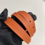 Goyard, Saigon Structured, PM, Orange, Like New - Image 44
