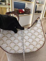 Celine, Ava Triomphe Canvas, Medium, White, Very Good - Image 30