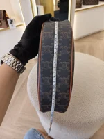 Celine, Ava, Medium, Brown, Very Very  Good - 图片 33