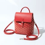 Goyard, Alpin Mini Backpack , Mini, Red, Very Very  Good