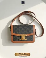 Celine, Teen Triomphe Bag, Teen, Brown, Very Good