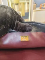Chanel, Trendy CC Flap Bag with Top Handle, Small, Black, Very Very  Good - Image 35