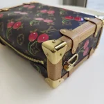 Louis Vuitton, LV x Takashi Murakami Side Trunk, MM, Brown, Like New - Image 13
