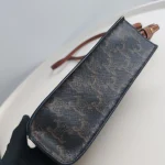Celine, Mini Vertical Cabas Bag, Mini, Brown, Like New - 图片 17