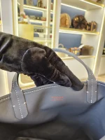 Goyard, Anjou Mini Bag, Mini, Grey, Like New - 图片 34