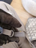 Goyard, Anjou Mini Bag, Mini, Grey, Like New - 图片 37
