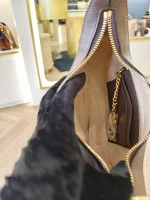 Gucci, Ophidia small shoulder bag, Mini, Beige, Very Very  Good - Image 28