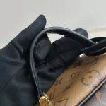 Louis Vuitton, Vanity PM, PM, Brown, Like New - Image 29