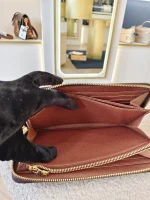 Louis Vuitton, Zippy Wallet, , Brown, Very Very  Good - Image 13