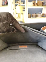 Louis Vuitton, Dauphine, MM, Brown, Very Good - Image 28