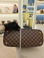 Louis Vuitton, Kensington, MM, Brown, Very Very  Good - Image 39