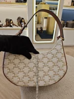 Celine, Ava, Medium, White, Good - 图片 22