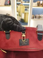 Louis Vuitton, OnTheGo MM, MM, Black, Very Very  Good - 图片 24