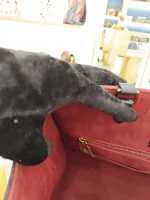Louis Vuitton, OnTheGo MM, MM, Black, Very Very  Good - 图片 25