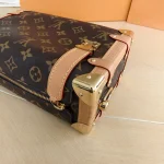 Louis Vuitton, Side Trunk, MM, Brown, Very Very  Good - Image 13