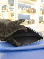Louis Vuitton, Outdoor, PM, Blue, Very Very  Good - Image 38