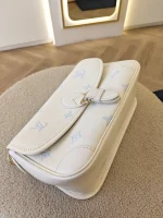 Louis Vuitton, Diane Bicolor, PM, White, Like New - Image 12