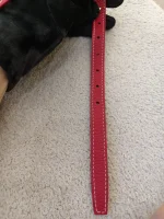 Goryard, Belvedere, PM, Red, Very Like New - Image 39