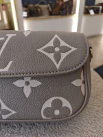 Louis Vuitton, Ivy WOC, , Grey, Very Like New - Image 17