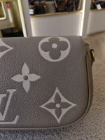 Louis Vuitton, Ivy WOC, , Grey, Very Like New - Image 19