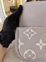 Louis Vuitton, Ivy WOC, , Grey, Very Like New - Image 29