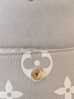 Louis Vuitton, Ivy WOC, , Grey, Very Like New - Image 31