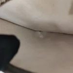 Gucci, Neo Vintage GG Supreme, , Beige, Very Very  Good - Image 21