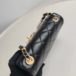 Celine, Triomphe, , Brown, Very Very  Good - Image 20