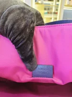 Gucci, Children's Tote Bag, , Pink, Very Very  Good - Image 25