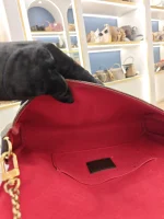 Louis Vuitton, Favorite, MM, Brown, Very Very  Good - Image 34