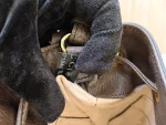 Gucci, Gucci Ophidia GG Bucket Bag, Small, Beige, Like New - Image 44