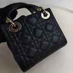 Dior, Lady My ABC, Mini, Black, Kept Unused - Image 21