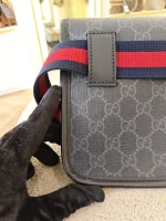 Gucci, GG Supreme Black Belt Bag, , Black, Very Very  Good - Image 13