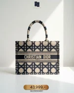 Dior, Book Tote, Medium, Beige, Like New