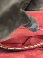 Dior, Saddle Bag, Medium, Red, Like New - Image 38