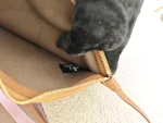 Hermes, Herbag Zip 31, 31", Etoupe, Like New - Image 57