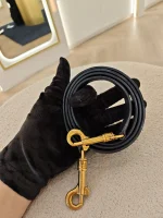 Celine, Belt Bag, Micro, Black, Very Good - Image 44