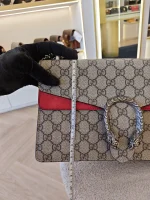 Gucci, Dionysus Shoulder Bag, Small, Beige, Very Very  Good - Image 54